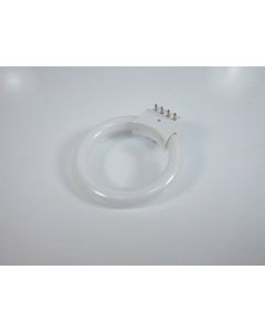 Bulb Ring Flourescent 8W