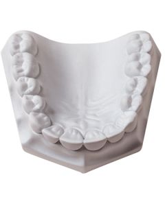 ORTHODONTIC STONE WHITE 33#/15